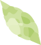 葉っぱ